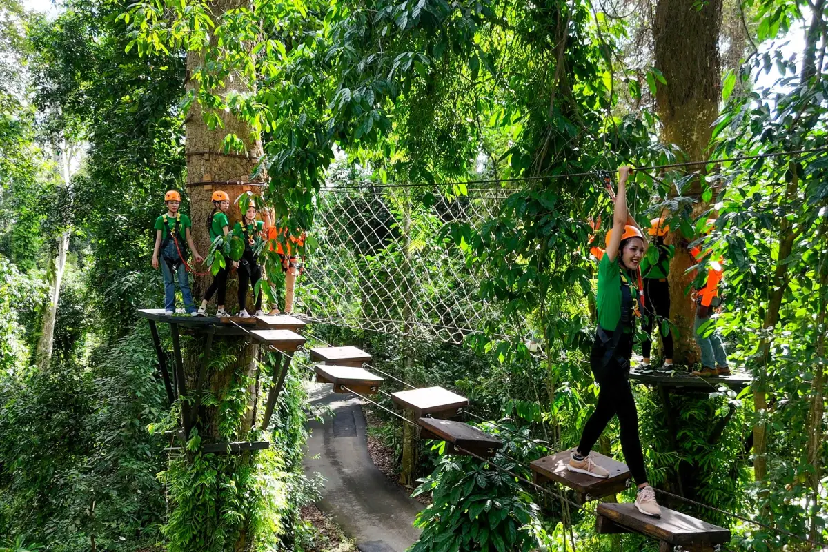 La Forêt