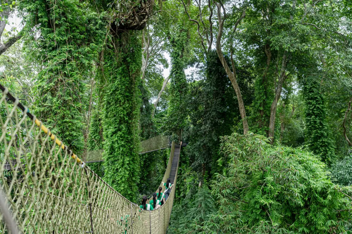 La Forêt