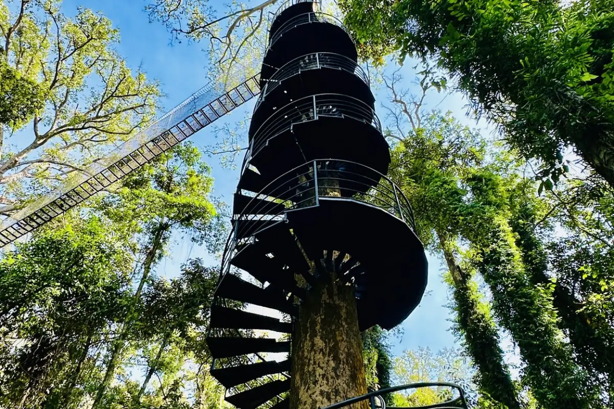 La Forêt