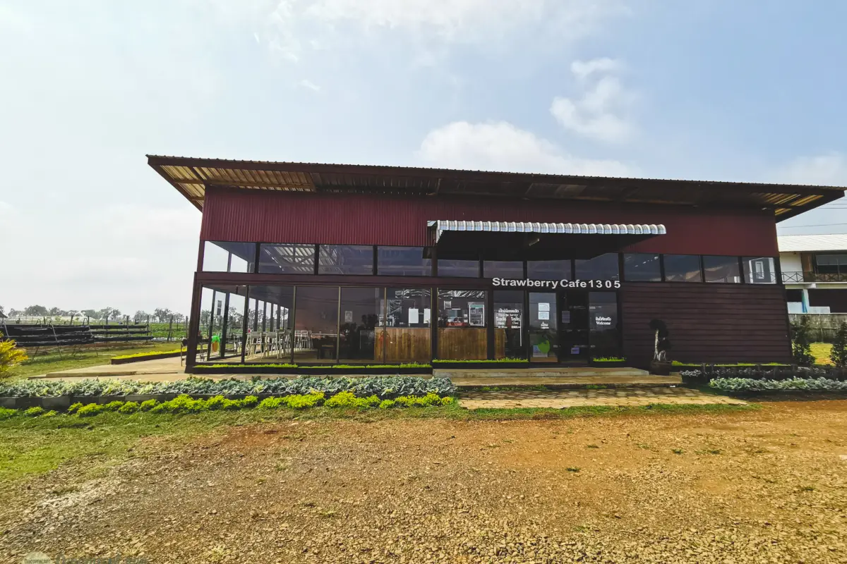 Yamamoto Strawberry Farm in Paksong