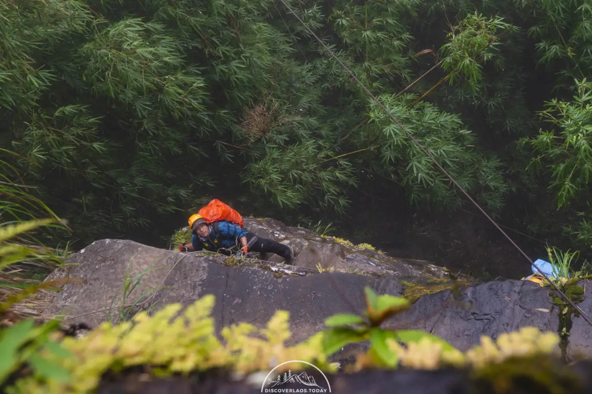 Tree Top Explorer