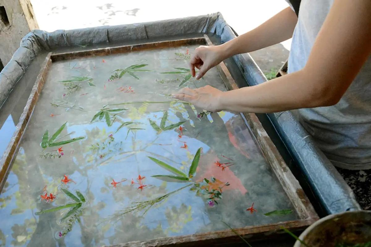 Sa Paper making