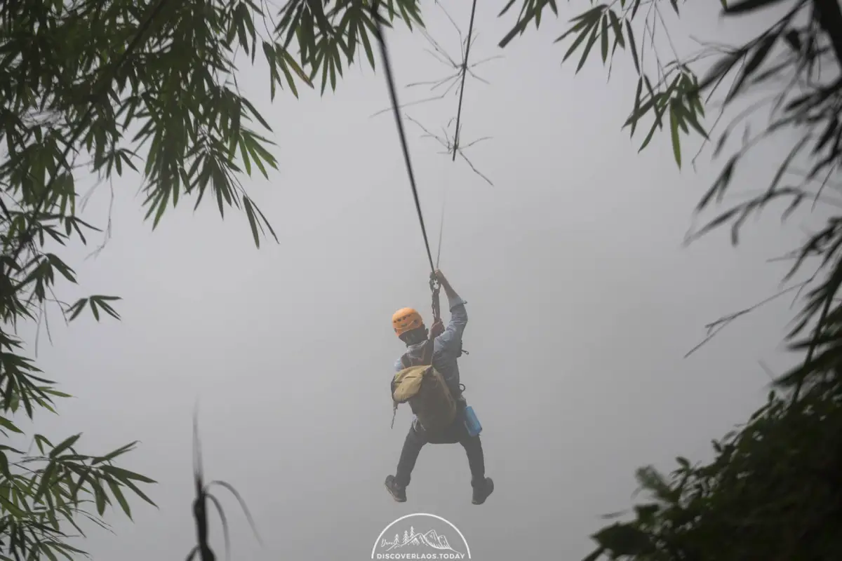 Tree Top Explorer
