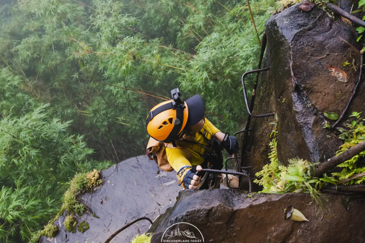Tree Top Explorer