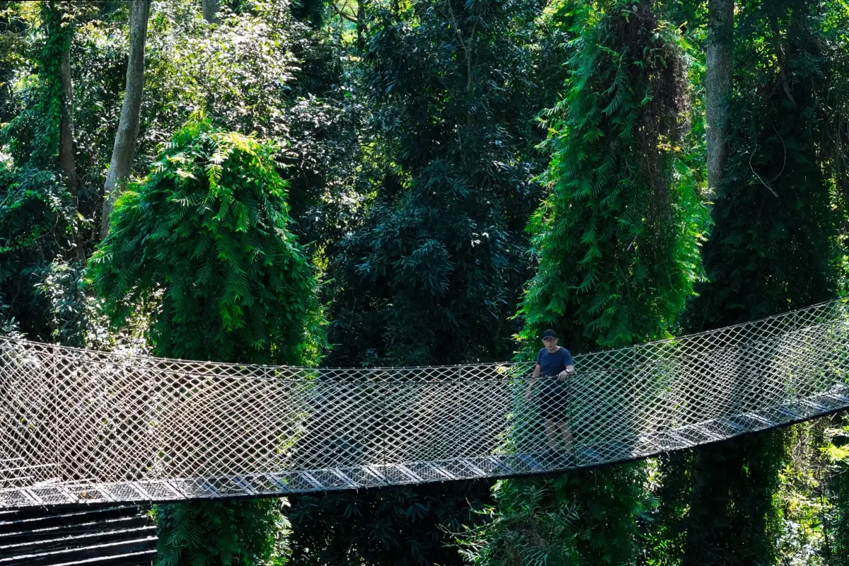 La Forêt