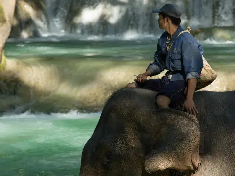 2 Days Deluxe Living with Elephant Mahout Program
