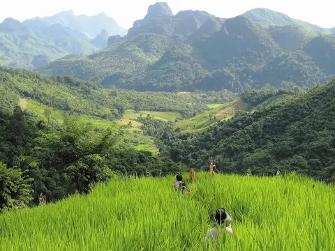 2 Days Trek & Homestay in Nong Khiaw & Tadmok Waterfall