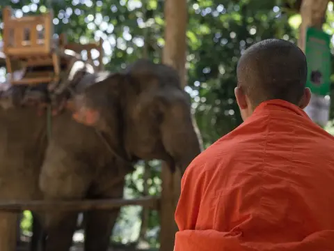 2 Days Trekking, Elephants & Soft Kayaking