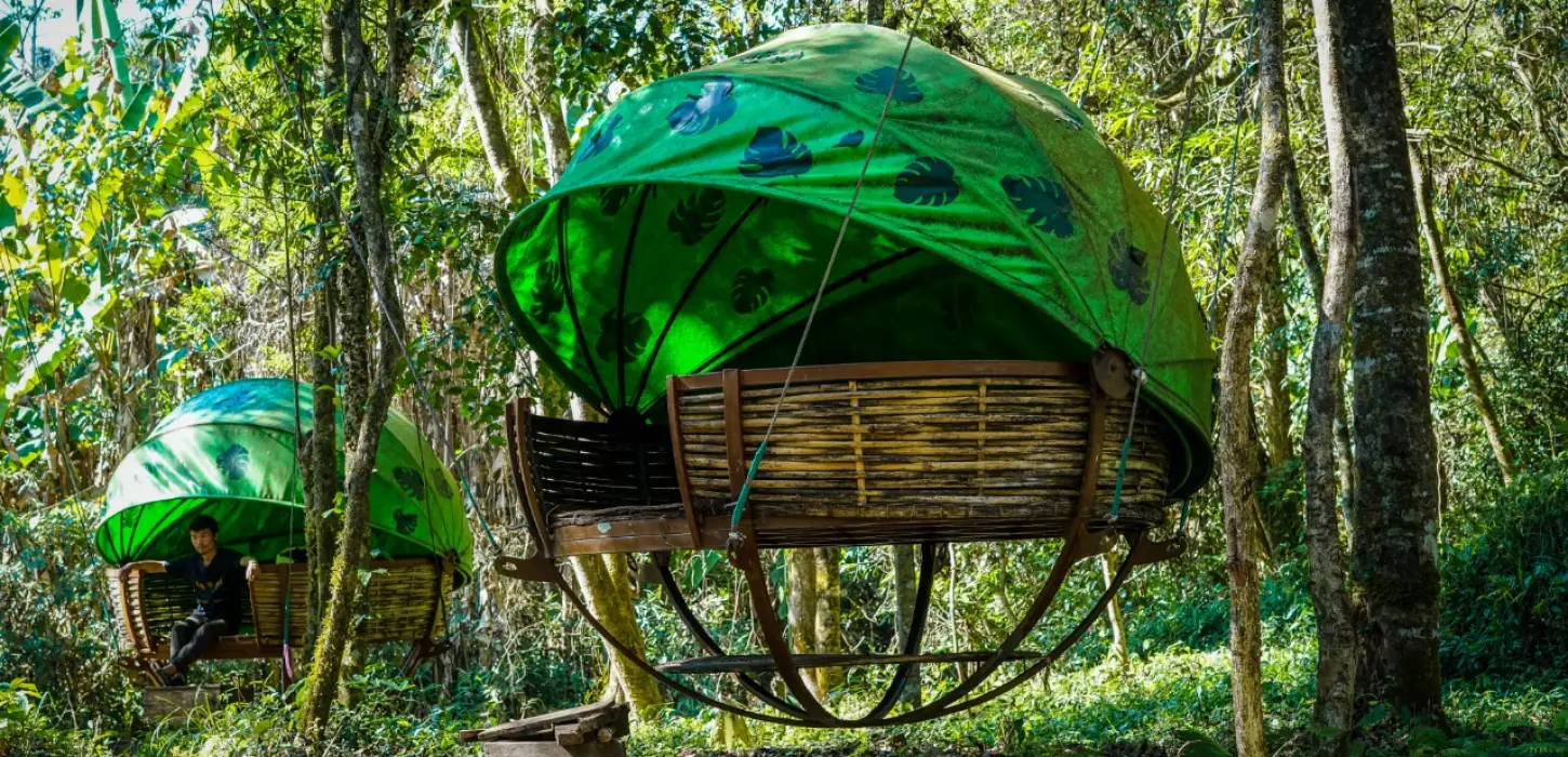 The Nests