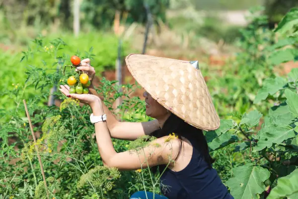 Half-Day Organic Farm Workshop