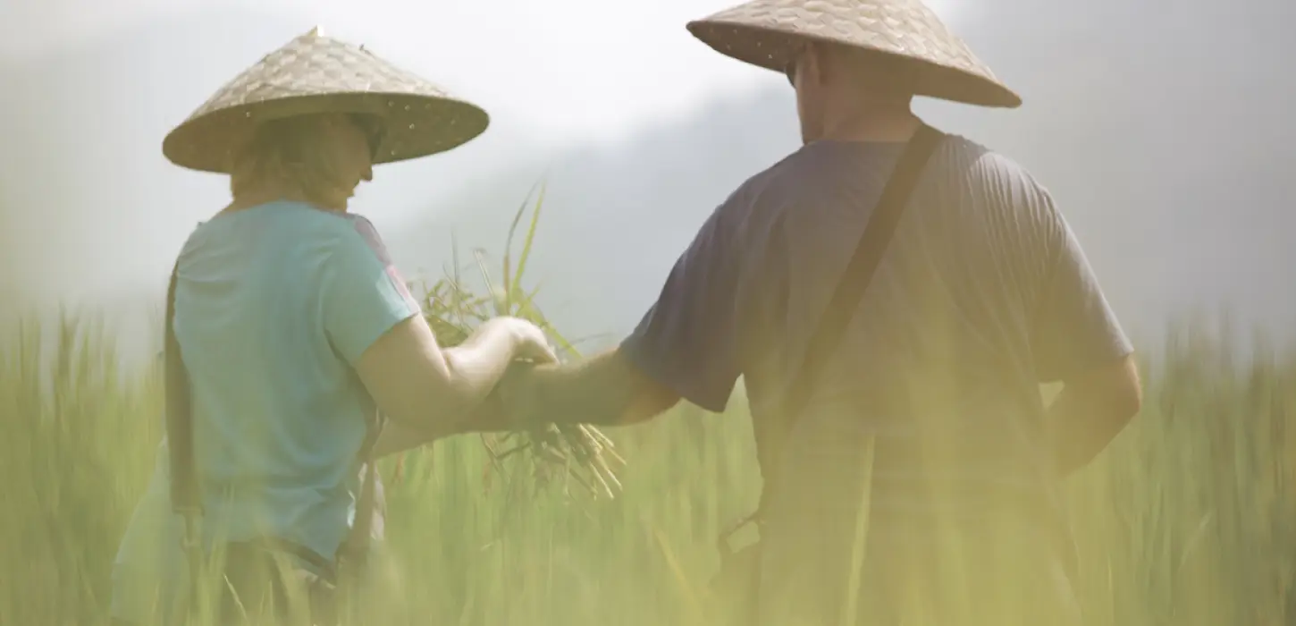1-Day Rice is Life Experience & Kuang Si Waterfall