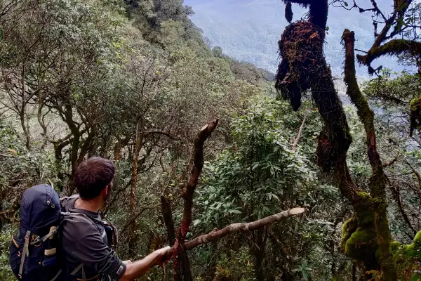 Hiking