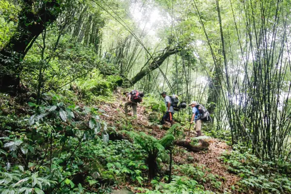 Hiking