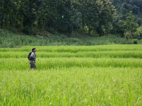 3 Days Nong Khiaw Trekking Short