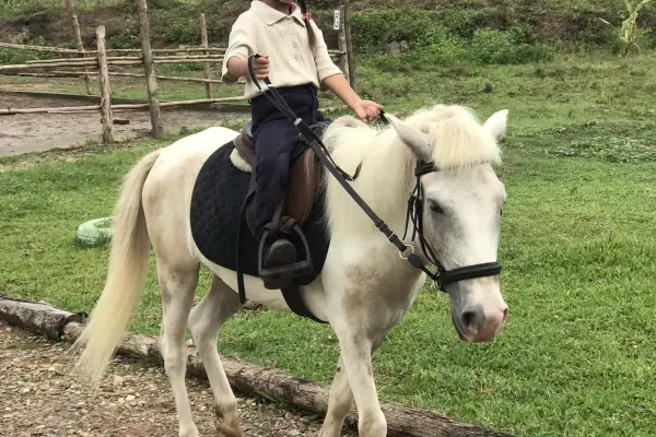Pony Ride Adventure in the Garden and Farm